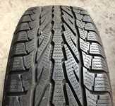 Apollo Acelere Winter 195/65 R15 91T