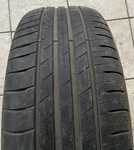 Goodyear EfficientGrip Performance 225/55 R16 95W