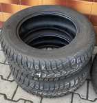 Nokian WR 195/65 R15 91T