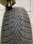 Semperit Speed-Grip 2 195/65 R15 91T