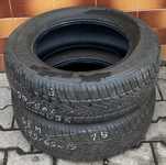 Semperit Speed-Grip 2 195/65 R15 91T