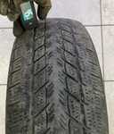 Davanti Wintoura 195/65 R15 91T