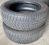 Barum Polaris 5 205/55 R16 91H