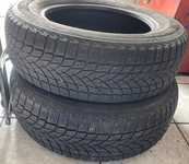 Saetta Winter 195/65 R15 91T