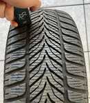 Sava Eskimo HP 205/55 R16 91H