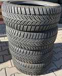 Sava Eskimo HP 205/55 R16 91H