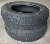Nexen Winguard Snow'G WH2 165/70 R13 79T