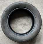 Barum Polaris 5 205/55 R16 91H