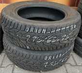 Orium Winter 195/65 R15 91T